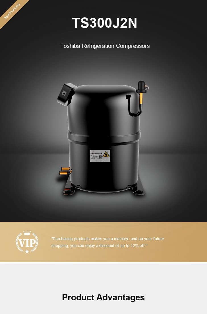 Toshiba Compressor TS300J2N, technical parameters pdf, structure diagram